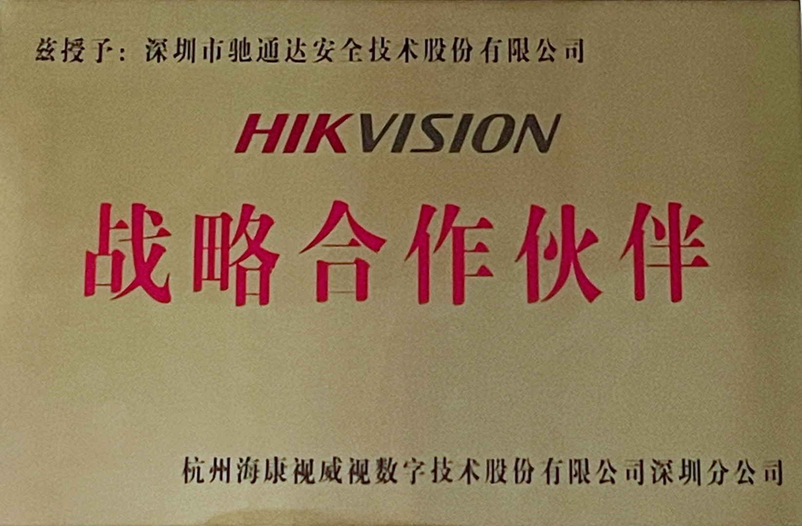 HIKVISION戰略合作伙伴